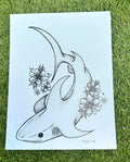 Thresher Shark - Print