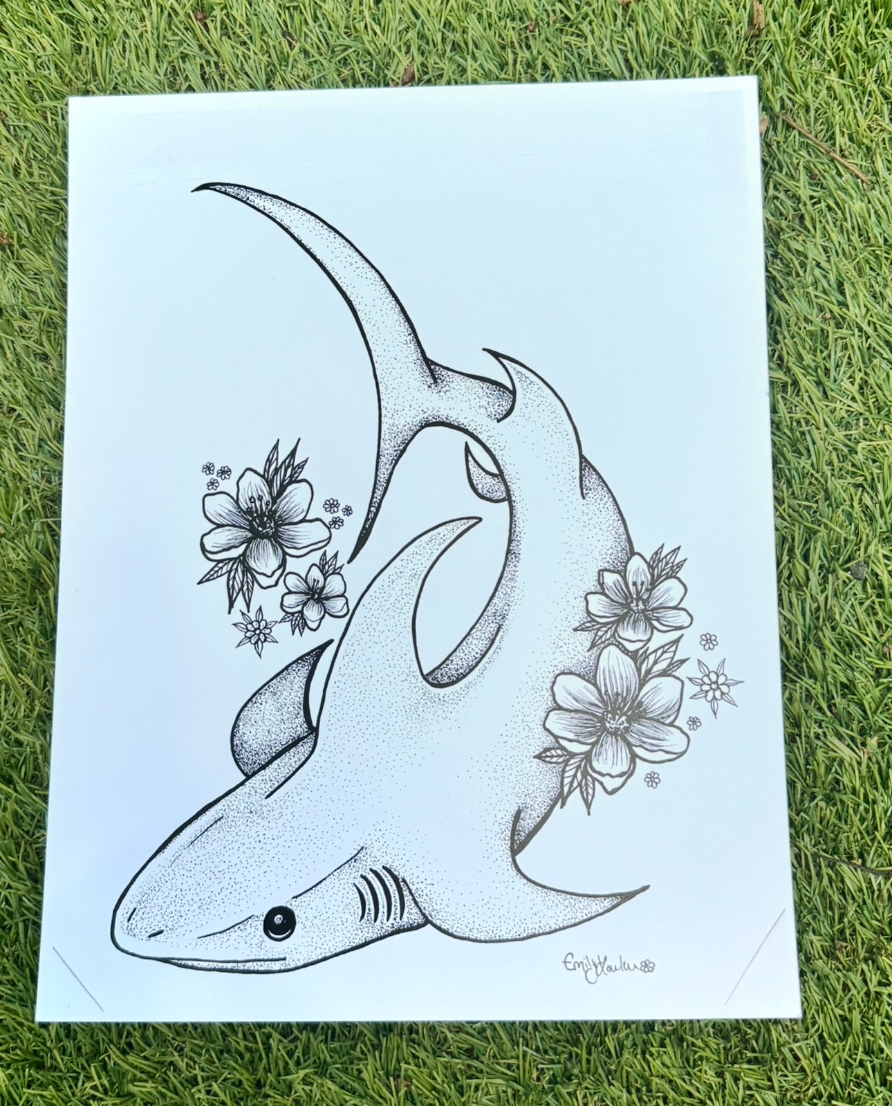 Thresher Shark - Print